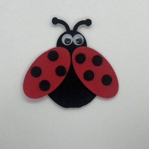 Lucky Bug Ladybug Foam Craft Kit